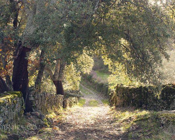 Villa Sierra De Gata Santibanez el Alto Kültér fotó