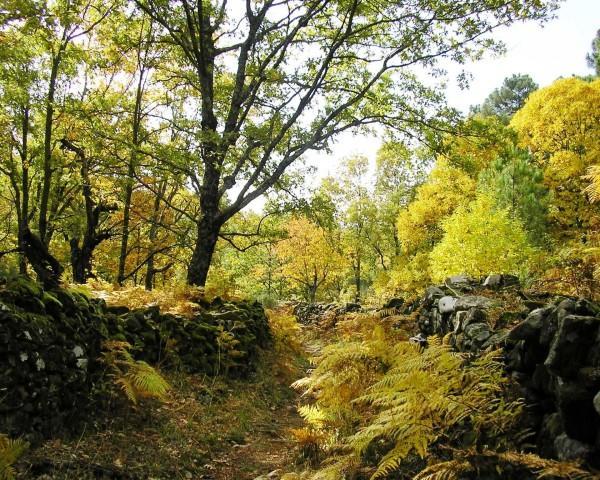 Villa Sierra De Gata Santibanez el Alto Kültér fotó